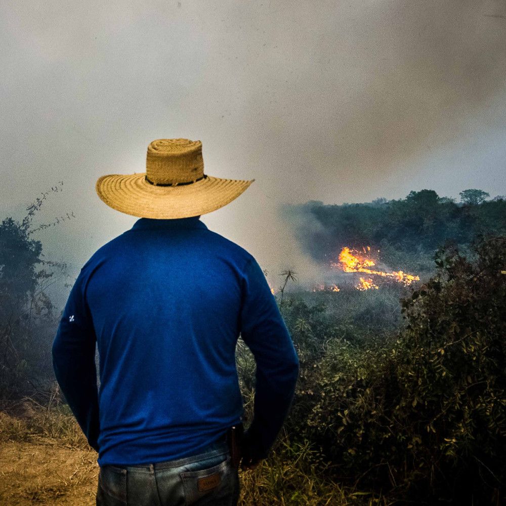 Photo d'un homme au chapeau de paysan brésilien de dos, devant lui la foret en flammes.